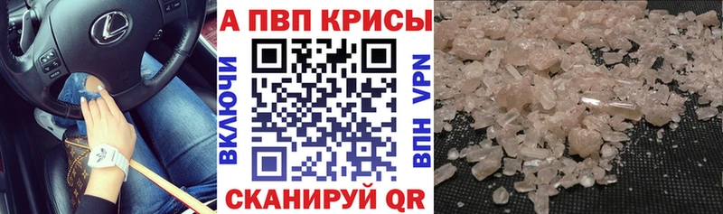 мориарти телеграм Калининград A-PVP VHQ