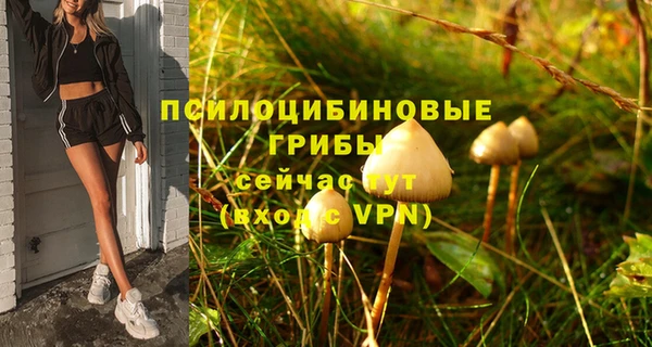 МДПВ Алексин